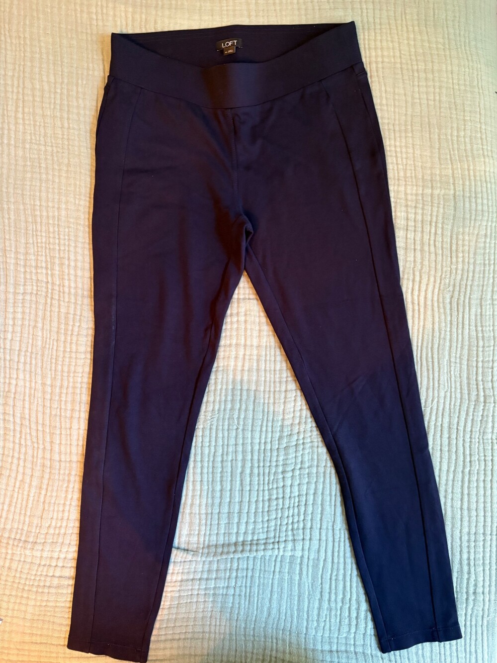 LOFT Medium Navy Pants
